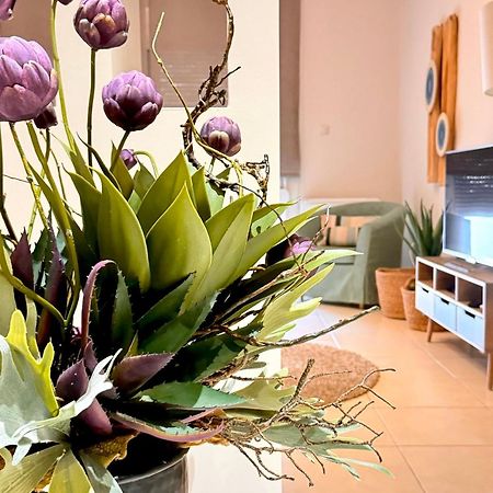 شقة Petite Fleur بريفيزا المظهر الخارجي الصورة
